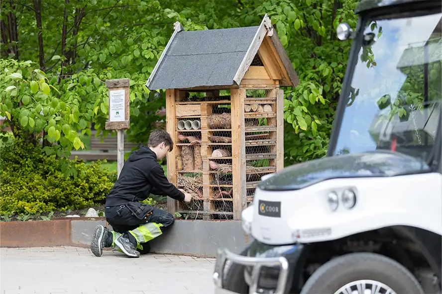 En fastighetsskötare knäböjer och sköter ett insektshotell; ett Coor-fordon syns i förgrunden.