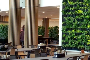 Modern restauranginredning med levande grön vägg, träaccenter och sittande gäster.