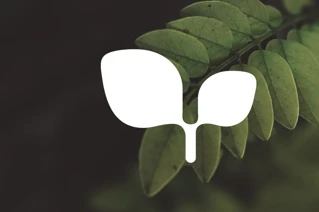 Envirosense-logotypen framför en bakgrund med gröna blad