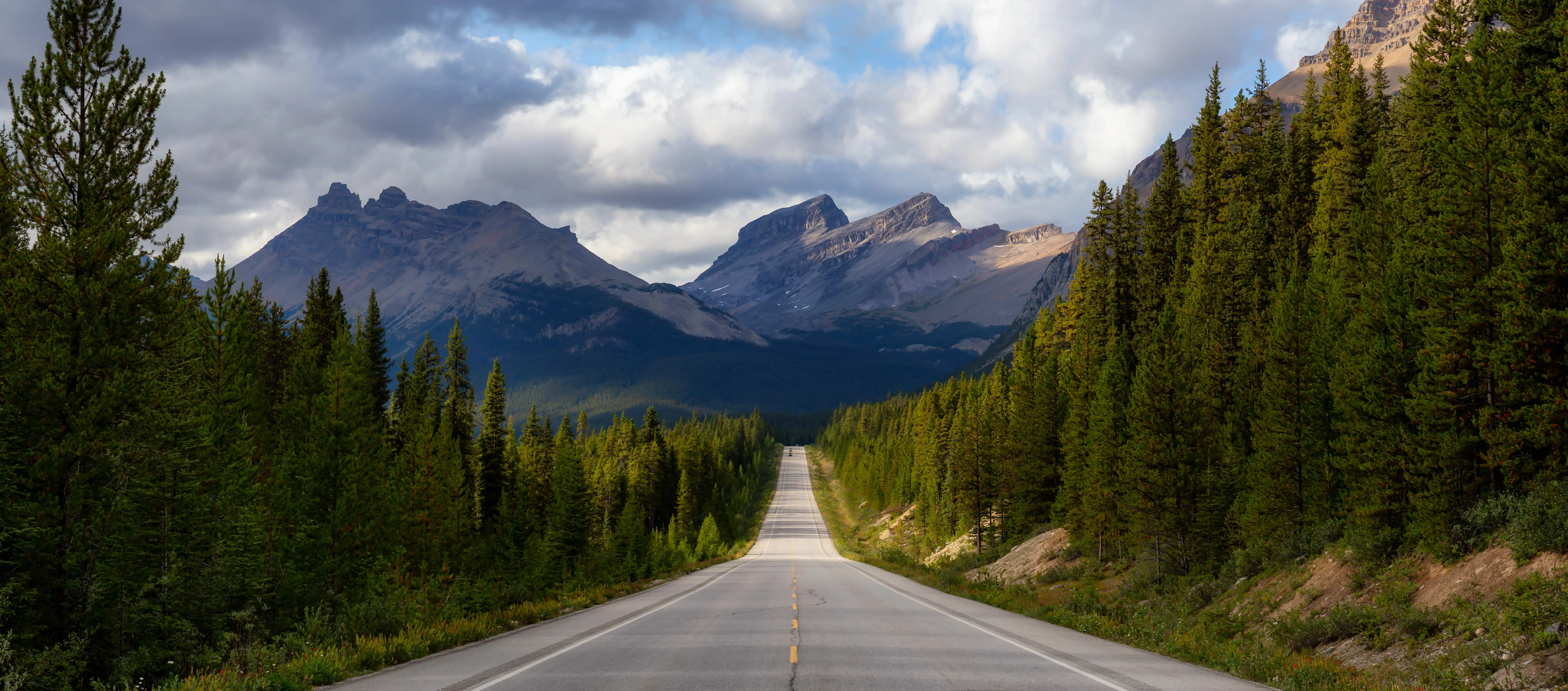 Road surrounded by high trees. In the back, high mountains are rising up among clouds.
